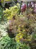 20150628_115549