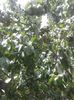20150628_120036