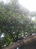 20150628_120043