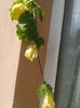 20150705_112141