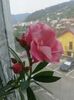 20150730_100401