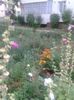 20150731_184158