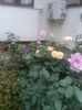 20150731_184248