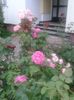 20150731_184258