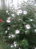 20150731_184311