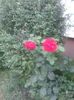 20150731_184328