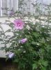 20150731_184422