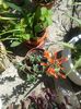 20150802_113745