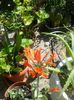 20150802_113751