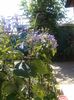20150802_113809