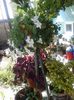 20150802_113902
