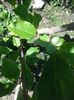 20150802_130329