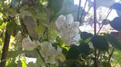 20150802_142326
