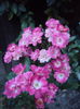 DSC04287