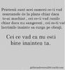 cei ce vad