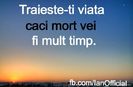 daad