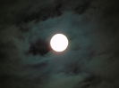 DSC09170
