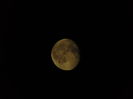 DSC09195