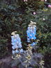 DSC01812
