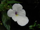 DSCN3669