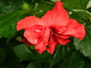 DSCN3676