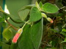 DSCN3683