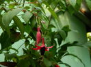 DSCN3701