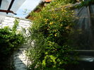 DSCN3743