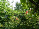 DSCN3751
