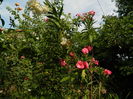 DSCN3758
