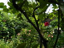 DSCN3760