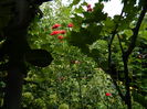 DSCN3764