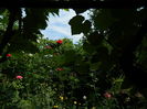 DSCN3765