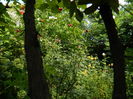 DSCN3768