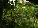 DSCN3769