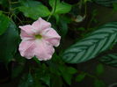 DSCN3361