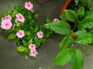 DSCN3364