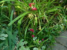 DSCN3381