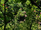 DSCN3402