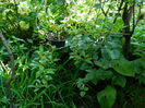 DSCN3410