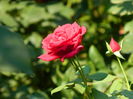 DSCN3434