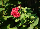 DSCN3438