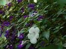 DSCN3450