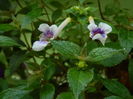 DSCN3467