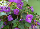 DSCN3469