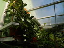 DSCN3477