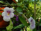 DSCN3484