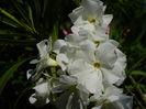DSCN3502