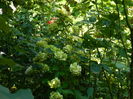 DSCN3504