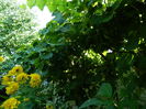 DSCN3512